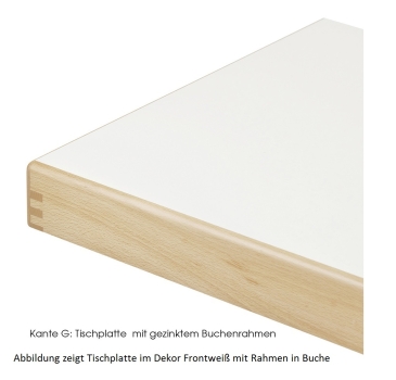 Preview: Rechtecktisch, Klapptischgestell Modell ES, HPL Schichtstoffplatte mit Massivholzkante oder Rahmen Preview: Rechtecktisch, Klapptischgestell Modell ES, HPL Schichtstoffplatte mit Massivholzkante oder Rahmen